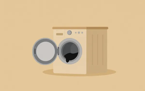 Flat illustration: with black gunk in washing machine seal