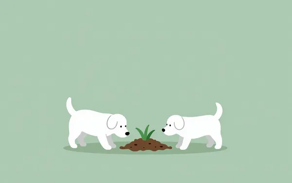 Flat illustration: a dog that digs up the garden