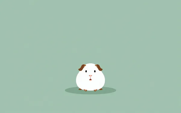 Flat illustration: a shy guinea pig that won't come out
